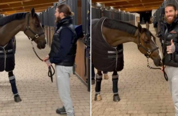 «Իսպանիայի լավագույն ձին», որը պատկանում էր Ռամոսին, վաճառվել է Սաուդյան Արաբիայի թագավորական ընտանիքին